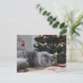 Urlaubskarte Postkarte (Stehend Vorderseite)