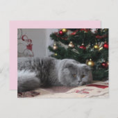 Urlaubskarte Postkarte (Vorne/Hinten)