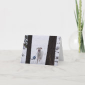 Urlaubskarten Feiertagskarte (Vorderseite)