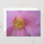 Urlaubspostkarte Feiertagspostkarte (Vorne/Hinten)