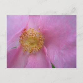 Urlaubspostkarte Feiertagspostkarte