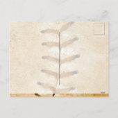 Urlaubspostkarte Feiertagspostkarte (Rückseite)