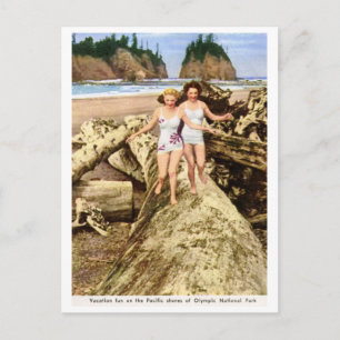 Urlaubsspaß, Olympic National Park, Vintage Postkarte