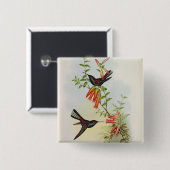 Urochroa Bougieri Button (Vorne & Hinten)