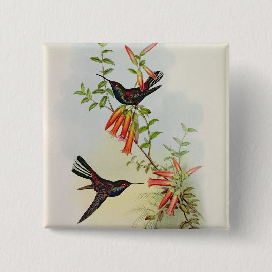 Urochroa Bougieri Button (Vorderseite)