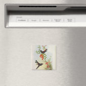 Urochroa Bougieri Magnet (In Situ (Geschirrspüler))