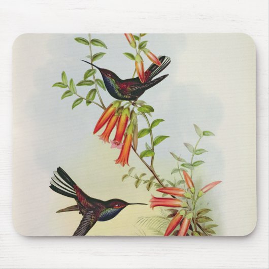 Urochroa Bougieri Mousepad (Vorne)