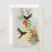 Urochroa Bougieri Postkarte (Vorne/Hinten)