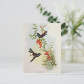 Urochroa Bougieri Postkarte (Stehend Vorderseite)