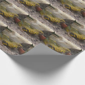 Uromastyx geyri geschenkpapier (Ecke)