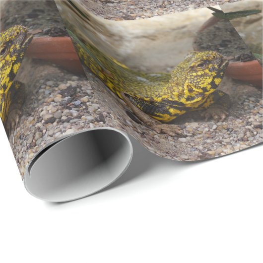 Uromastyx geyri geschenkpapier (Rolleneckpunkt)