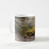 Uromastyx geyri kaffeetasse (Vorderseite Links)
