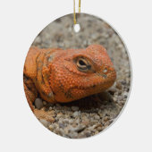 Uromastyx geyri keramikornament (Links)