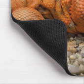 Uromastyx geyri mousepad (Ecke)