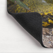Uromastyx geyri mousepad (Ecke)