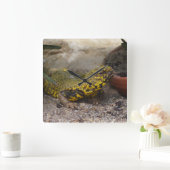 Uromastyx geyri quadratische wanduhr (Zuhause)