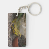 Uromastyx geyri schlüsselanhänger (Rückseite)