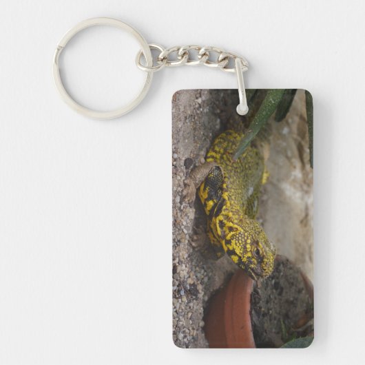 Uromastyx geyri schlüsselanhänger (Vorderseite)