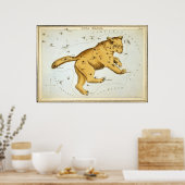 Ursa Major Poster (Küche)
