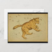 Ursa Major Postkarte (Vorne/Hinten)