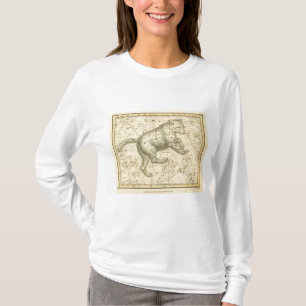 Ursa Major T-Shirt