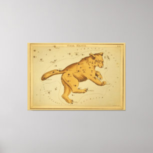 Ursa Major - Vintages Astronomisches Star Chart Im Leinwanddruck