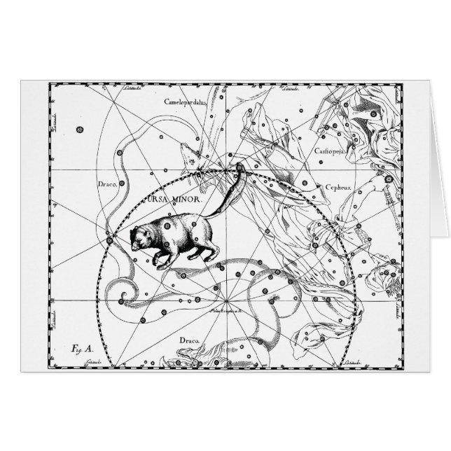 Ursa Minderjähriger (Vorderseite (Horizontal))