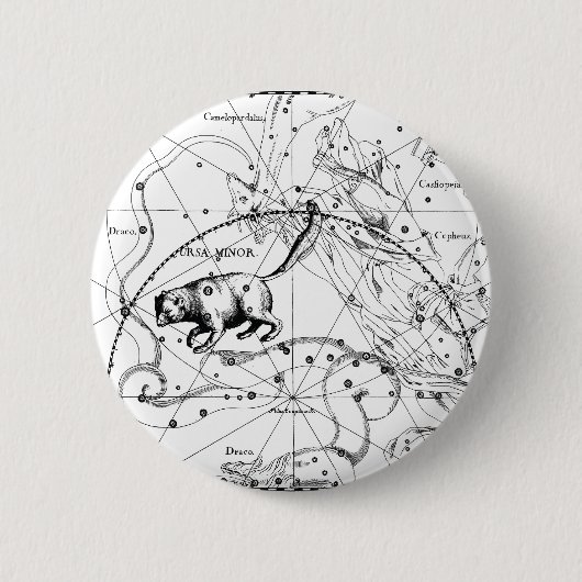 Ursa Minderjähriger Button (Vorderseite)