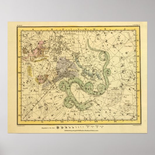 Ursa Minor, Cassiopeia, Tarandus, Cepheus Poster (Vorne)