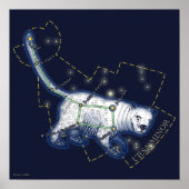 Ursa Minor (Poster) Poster (Vorne)
