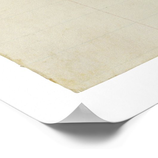 URSPRUNG 15. Änderung der US-Verfassung Poster (Ecke)