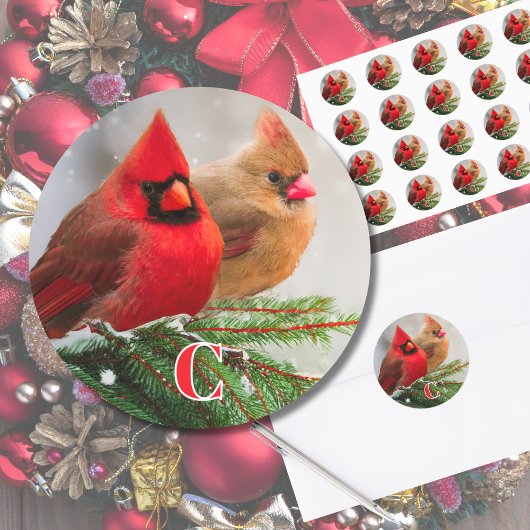 Ursprüngliche Kardinäle in der Pine Tree Family Runder Aufkleber