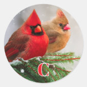 Ursprüngliche Kardinäle in der Pine Tree Family Runder Aufkleber (Vorderseite)
