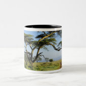 Ursprüngliche Schmutzstraße und Akazienbaum, Nakur Zweifarbige Tasse (Mittel)