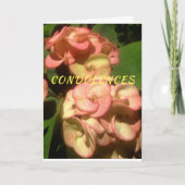 Ursprüngliches Foto und Zeichnen auf Karte (Vorderseite)