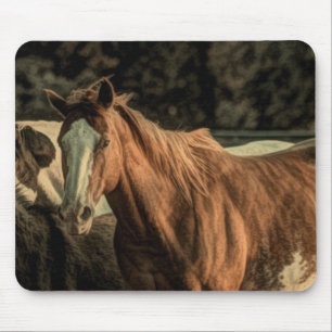 Ursprüngliches rustikales Western-Wildpferd Mousepad