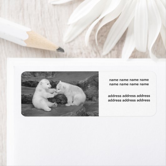 Ursus maritimus (Insitu)