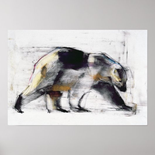 Ursus Maritimus 1999 Poster (Vorne)