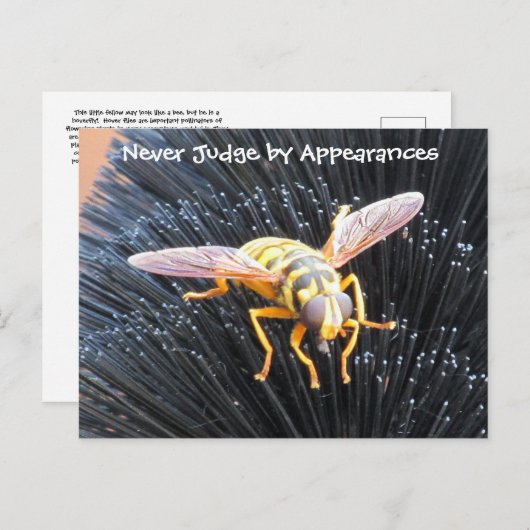 Urteilen Sie niemals nach Erscheinungen: Bee Postc Postkarte (Vorne/Hinten)