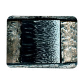 Urteilstag Magnet (Horizontal)