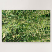 Urtica dioica, puzzle (Horizontal)