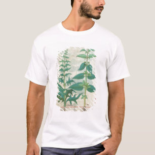 Urticaceae T-Shirt