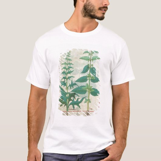 Urticaceae T-Shirt (Vorderseite)