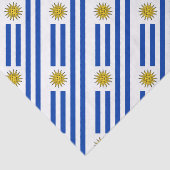 Uruguay Flagge Banda Oriental Seidenpapier (Ausschnitt)