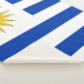 Uruguay-Flagge Sherpadecke (3/4)
