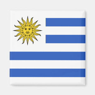 Uruguay-Flaggen-Magnet Magnet