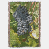 Uruguay, Montevideo, Colon Area. Bodegas Decke (Vorderseite Vertikal)