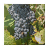 Uruguay, Montevideo, Colon Area. Bodegas Fliese (Vorderseite)