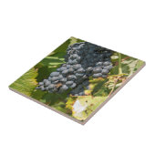 Uruguay, Montevideo, Colon Area. Bodegas Fliese (Seite)