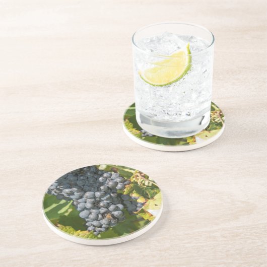 Uruguay, Montevideo, Colon Area. Bodegas Getränkeuntersetzer (Seite)